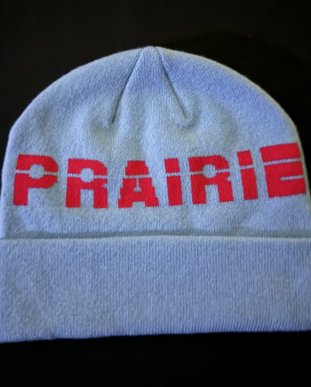 Battle Salmon and Robin Egg Prairie Beanie