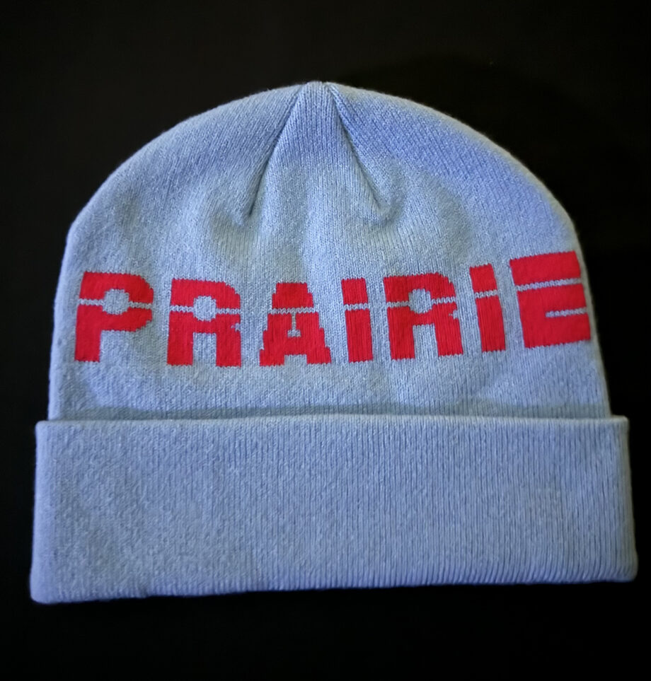 Battle Salmon and Robin Egg Prairie Beanie
