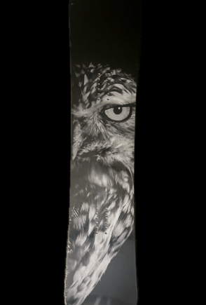Death Owl Snowboard